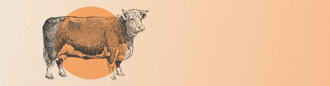 <b>Beef: </b><br>The Energizing & Fortifying Protein