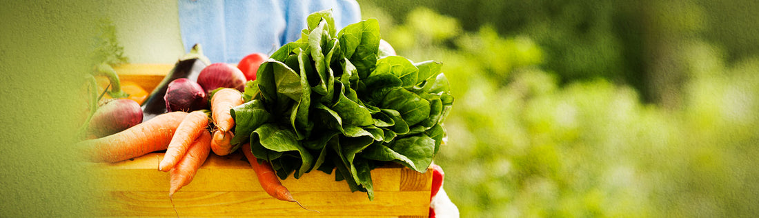 <b>The Battle of the Vitamins:</b><br>Natural vs. Synthetic