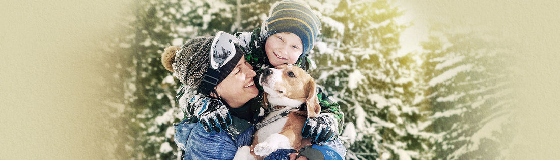 <b>Is Your Pet Heart Healthy?</b>
