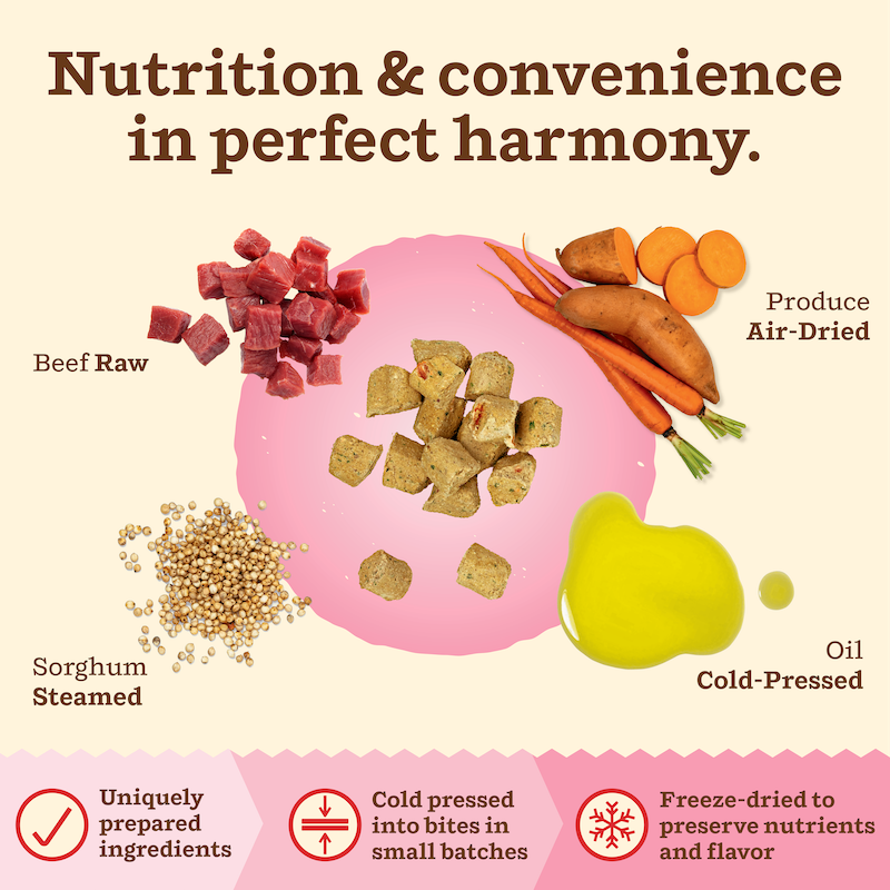 Kibble in the Raw Cat Food - Beef Recipe