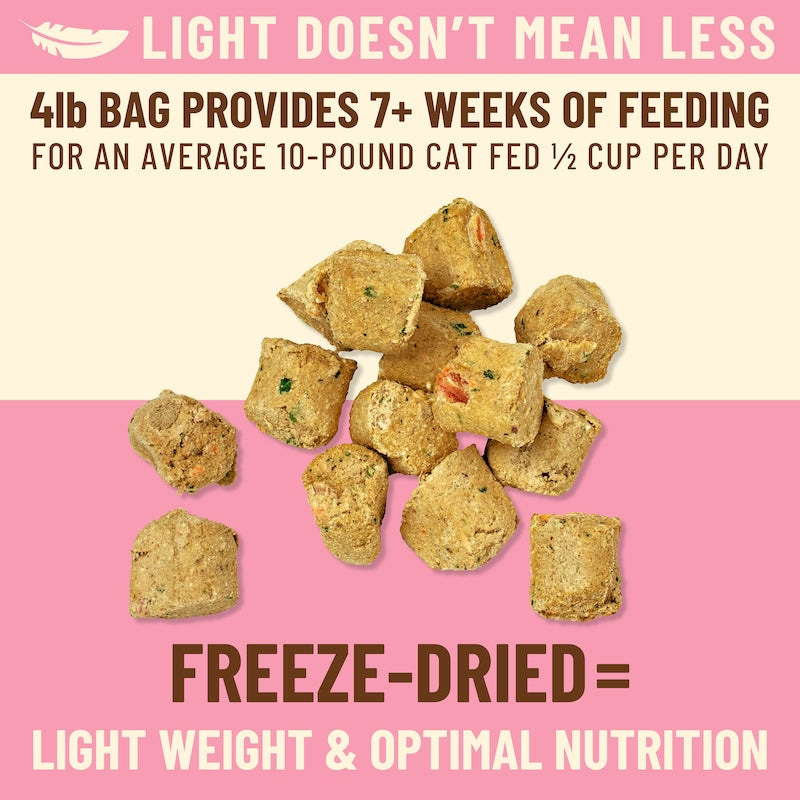Kibble in the Raw Cat Food - Beef Recipe