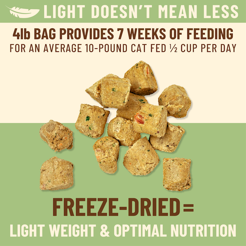 Kibble in the Raw Cat Food - Chicken Recipe