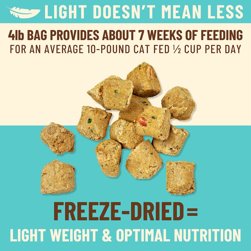Kibble in the Raw Cat Food - Chicken & Fish Recipe