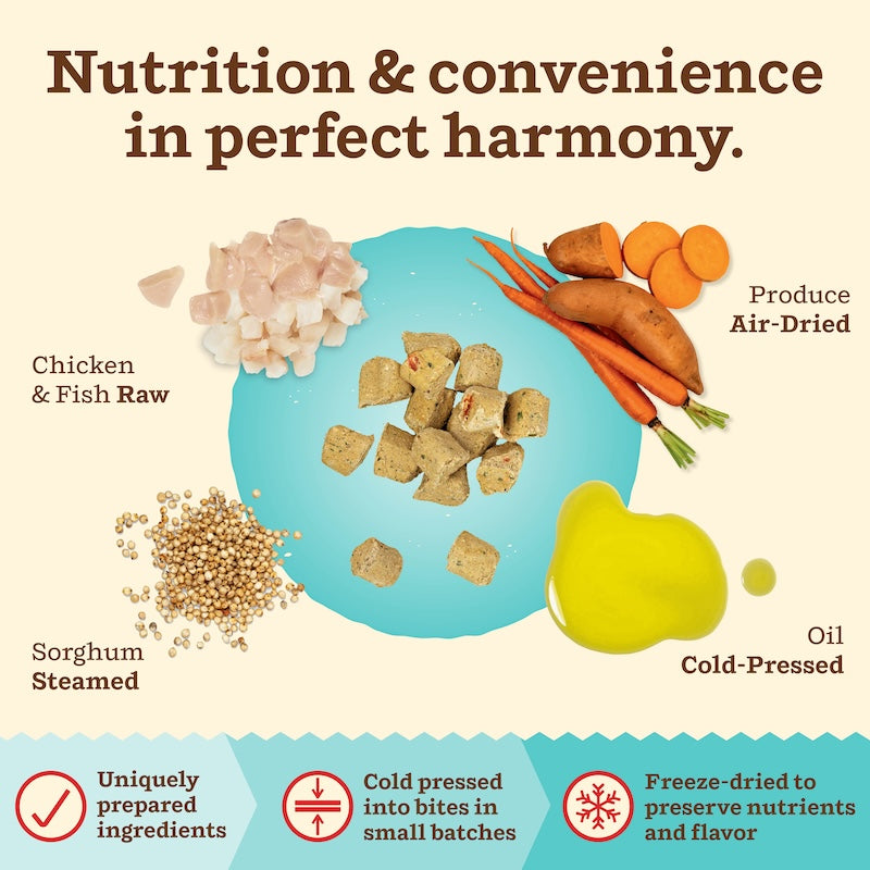 Kibble in the Raw Cat Food - Chicken & Fish Recipe