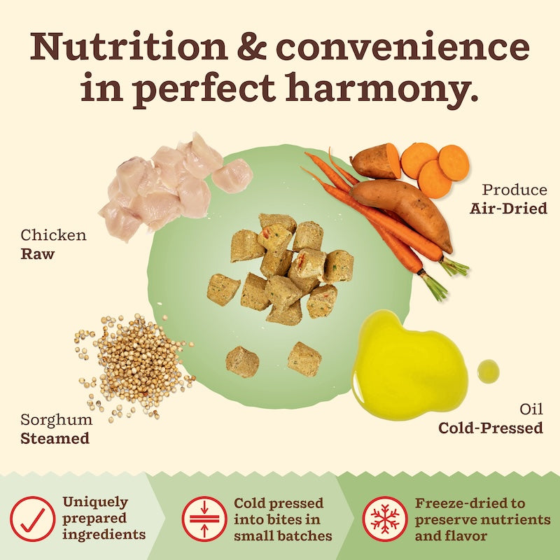 Kibble in the Raw Cat Food - Chicken Recipe