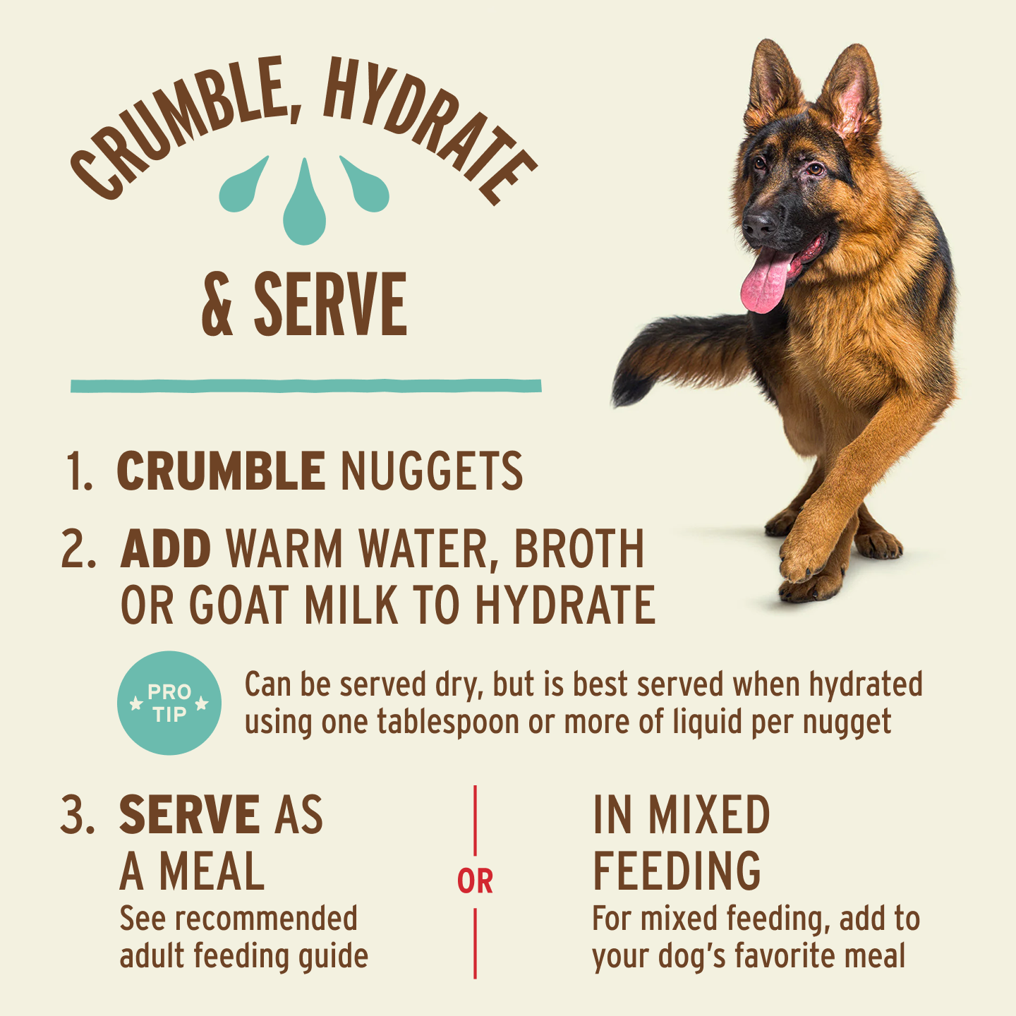 Freeze-Dried Raw Nuggets Dog Food - Chicken Recipe