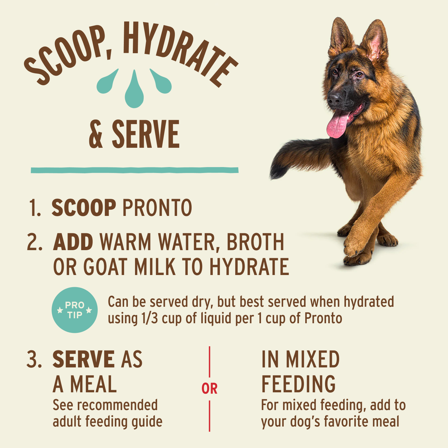 Freeze-Dried Raw Scoopable Pronto Dog Food - Beef Recipe