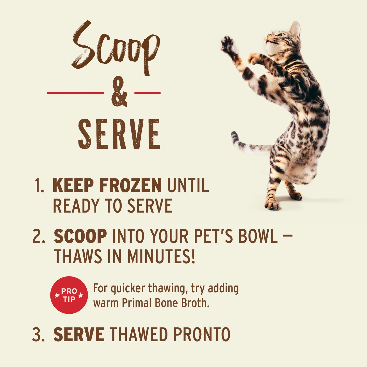 Frozen Raw Scoopable Pronto Cat Food