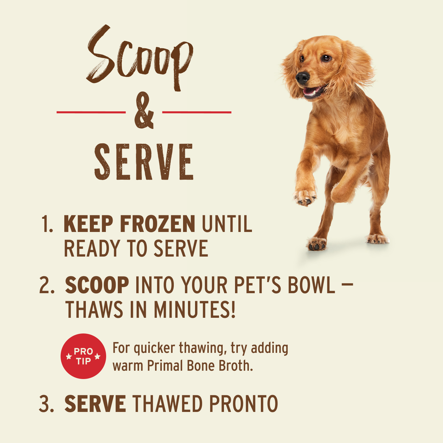 Frozen Raw Scoopable Pronto Dog Food - Beef Recipe