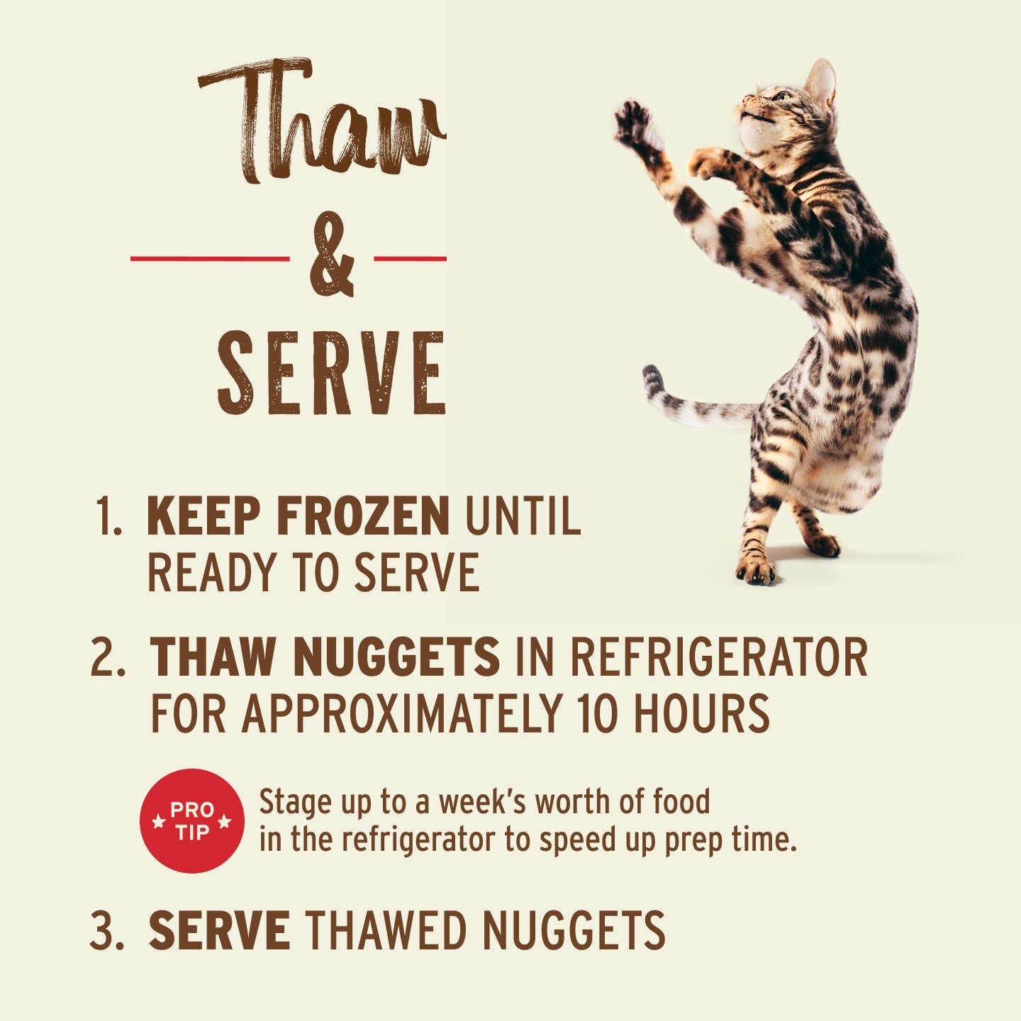 Frozen Raw Nuggets Cat Food - Beef & Salmon Recipe