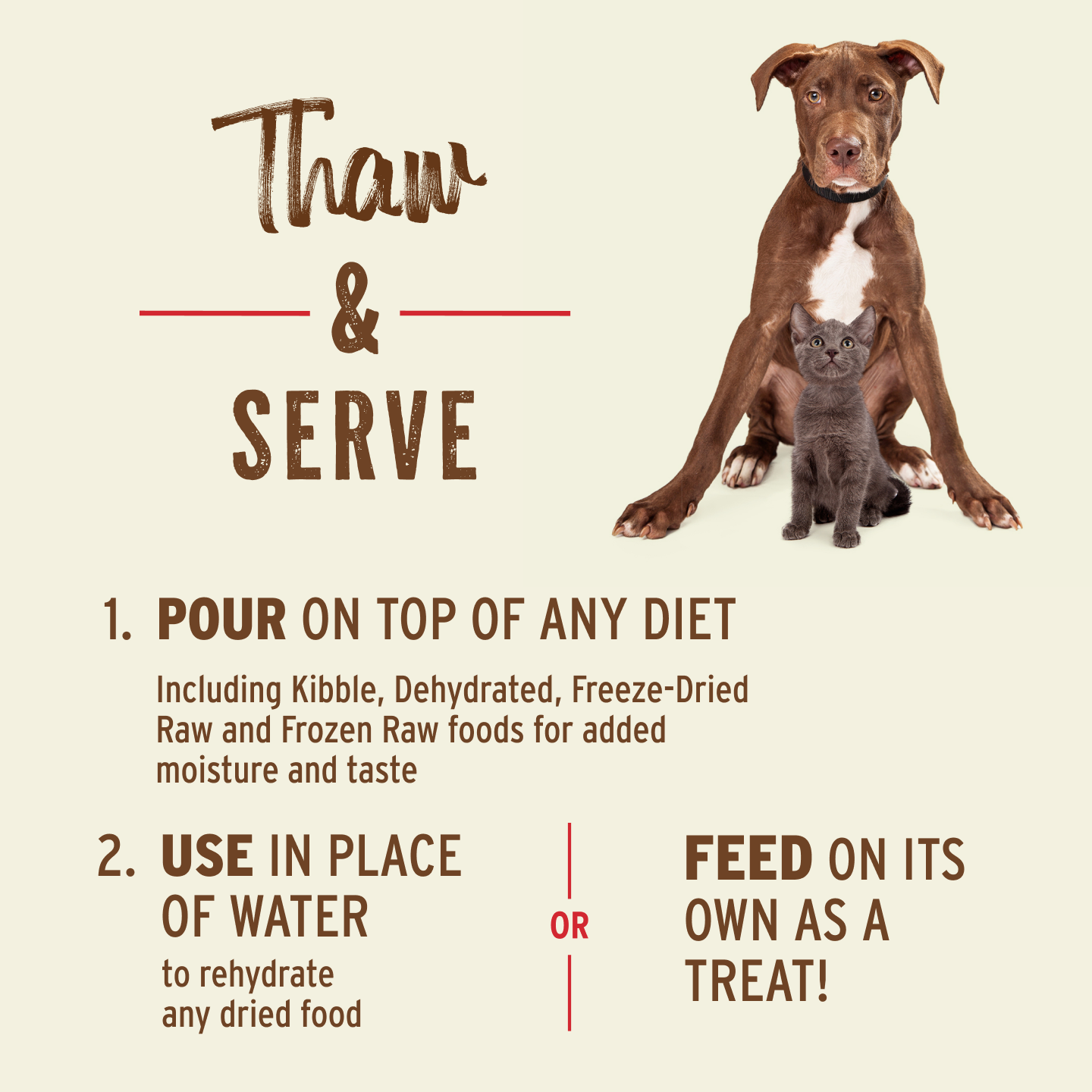 Bone Broth for Cats and Dogs - Beef Recipe