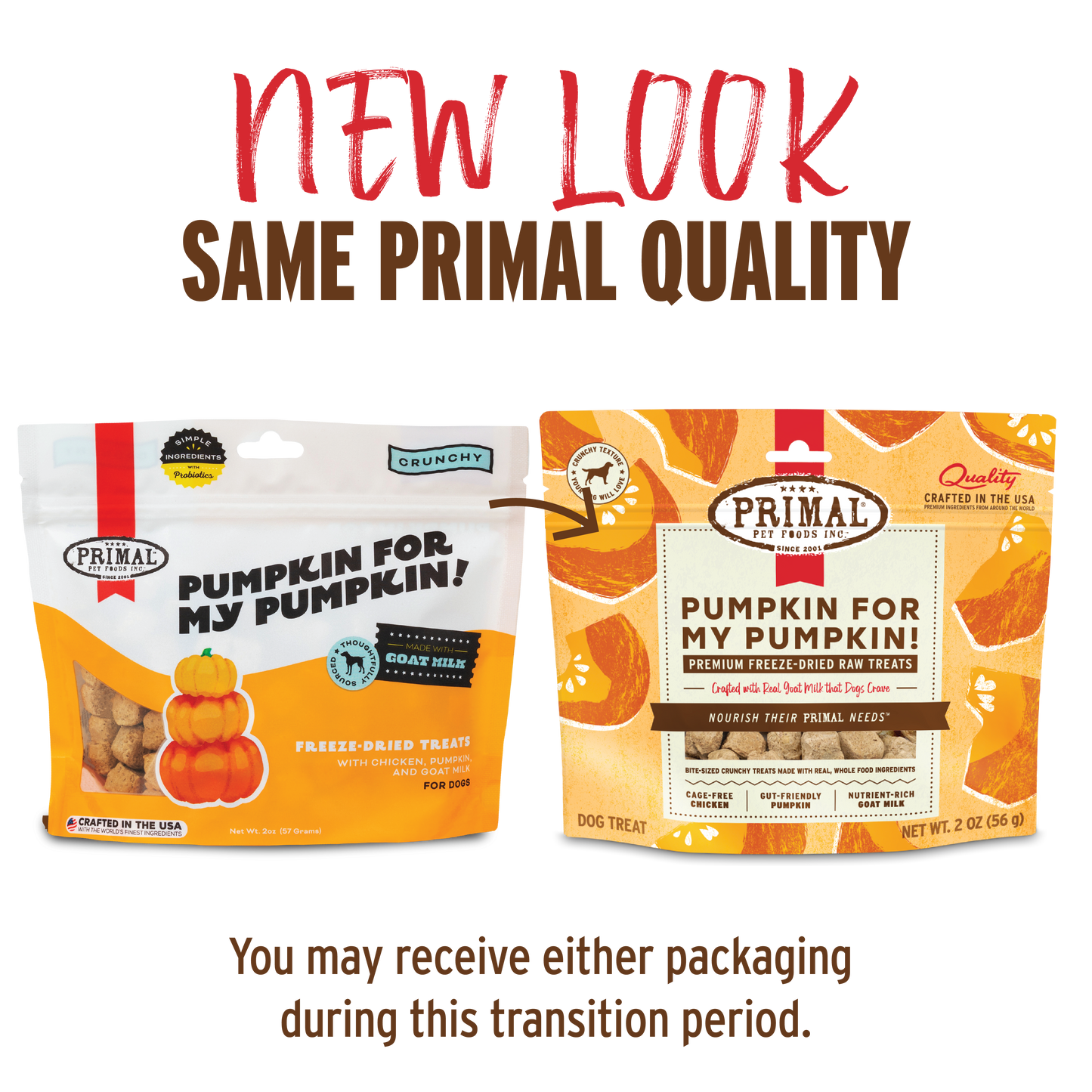 Freeze-Dried Raw Dog Treats - Pumpkin for My Pumpkin