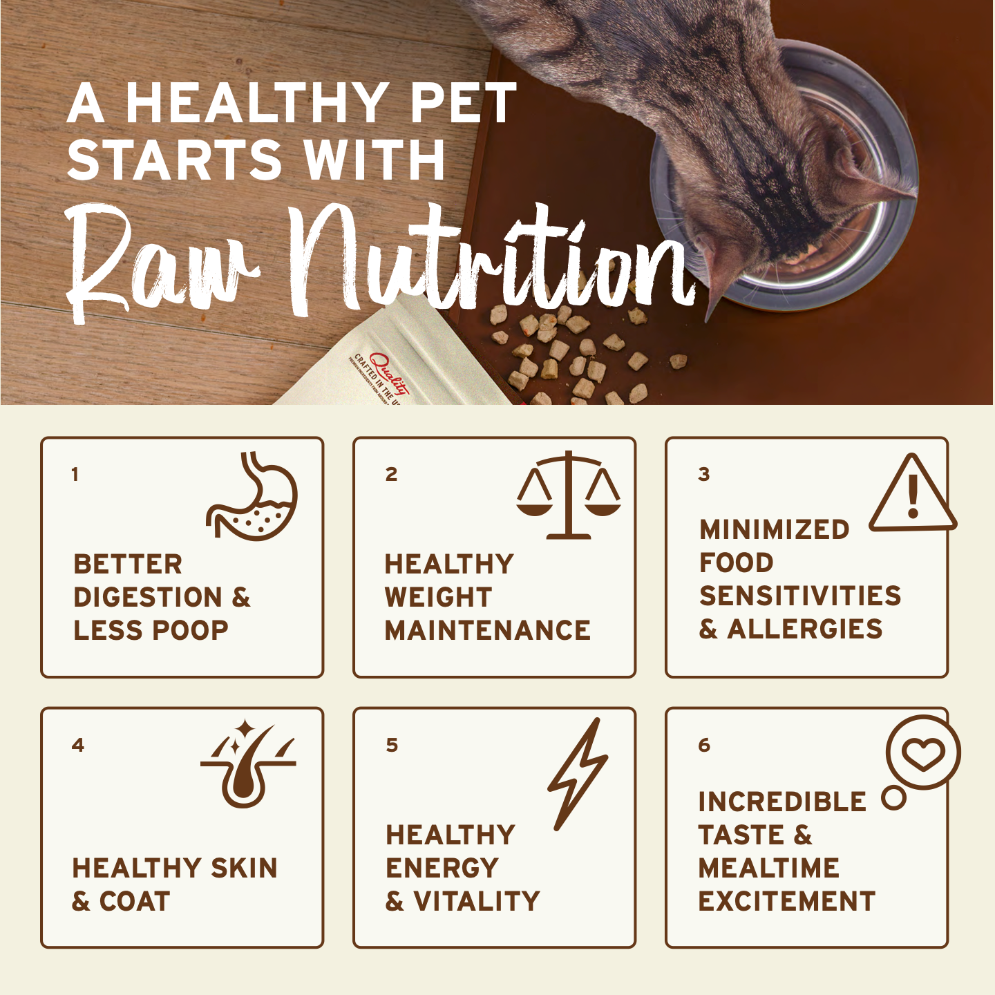 Freeze-Dried Raw Nuggets Cat Food - Chicken & Salmon Recipe