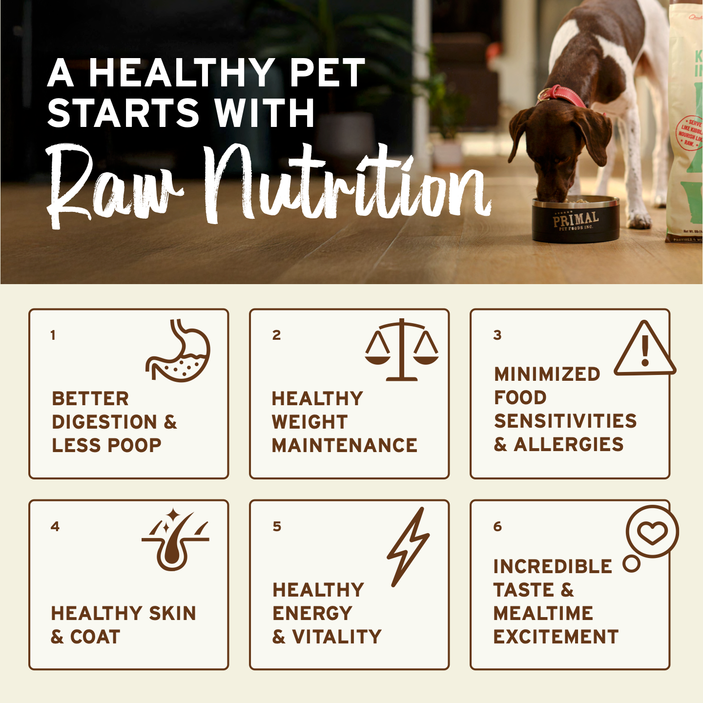 Frozen Raw Scoopable Pronto Dog Food - Beef Recipe