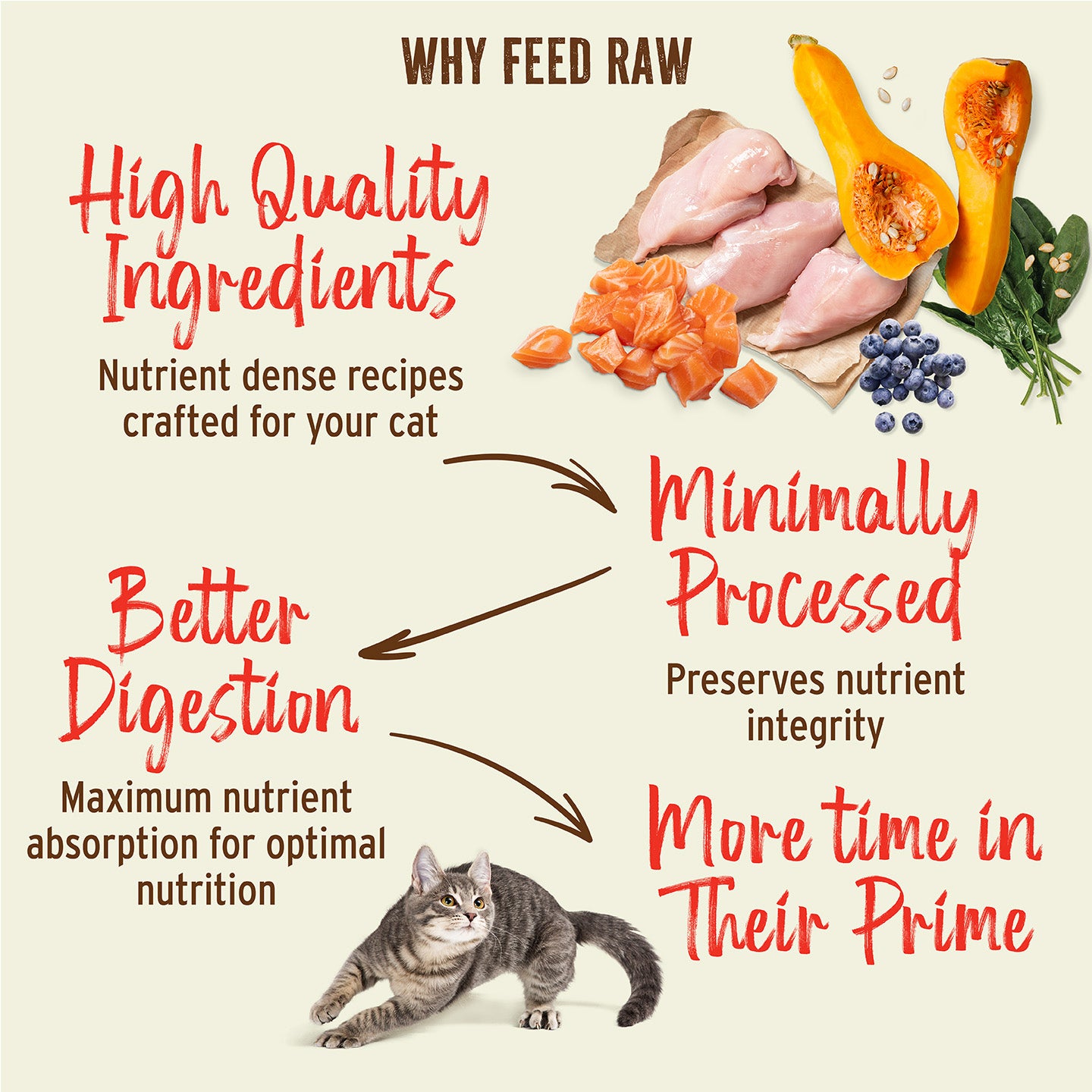 Freeze-Dried Raw Nuggets Cat Food - Chicken & Salmon Recipe