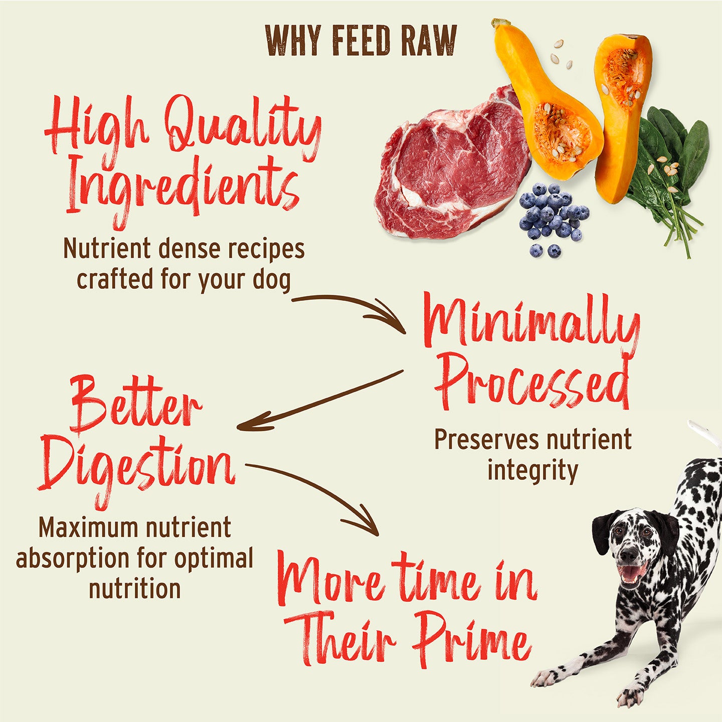 Kibble in the Raw Dog Food - Beef Recipe