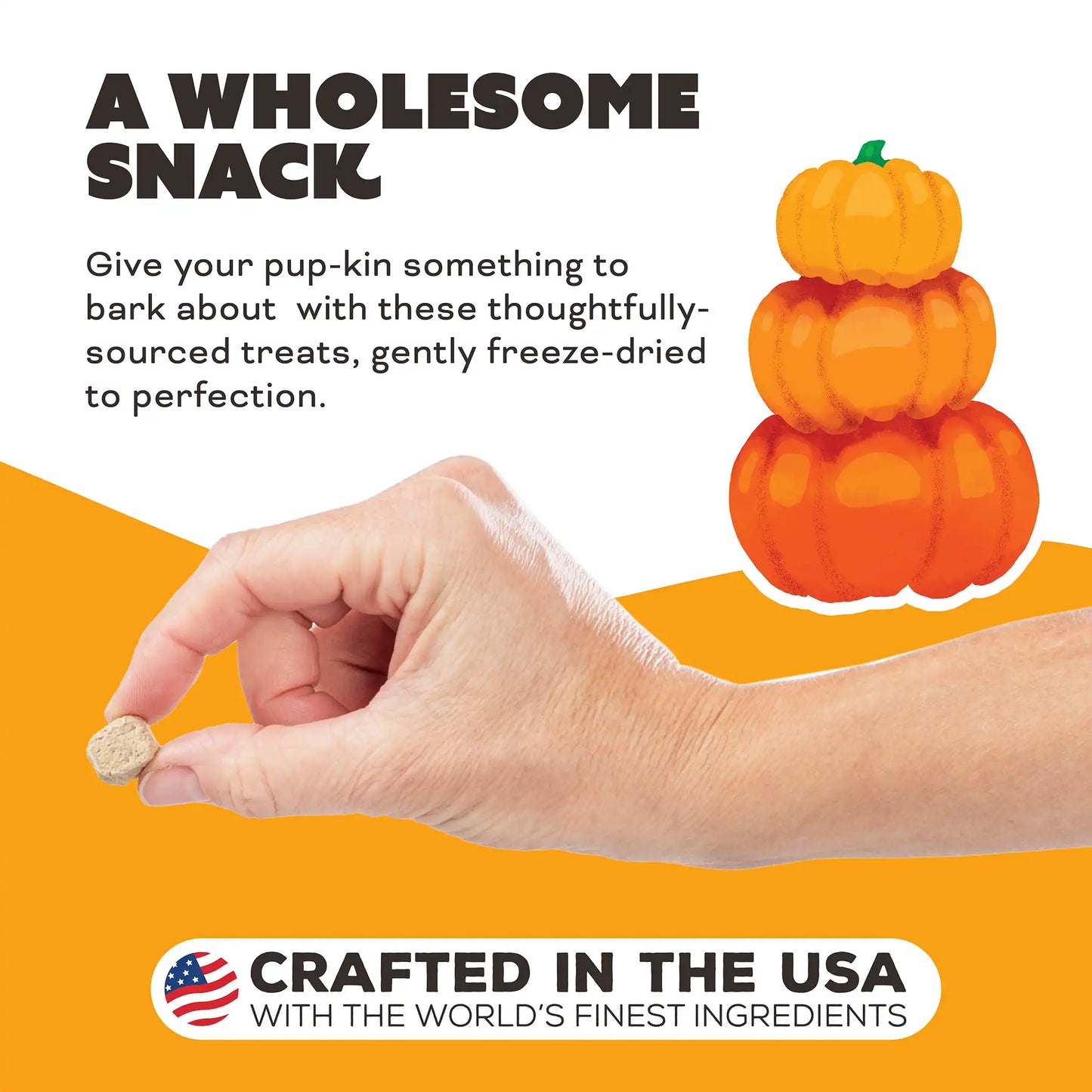 Freeze-Dried Raw Dog Treats - Pumpkin for My Pumpkin