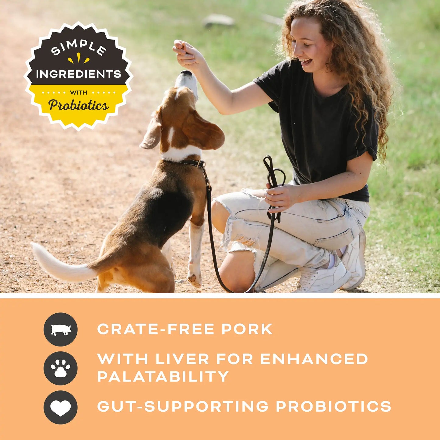 Liver Laugh Love Freeze-Dried Treats for Dogs - Pork Liver Recipe