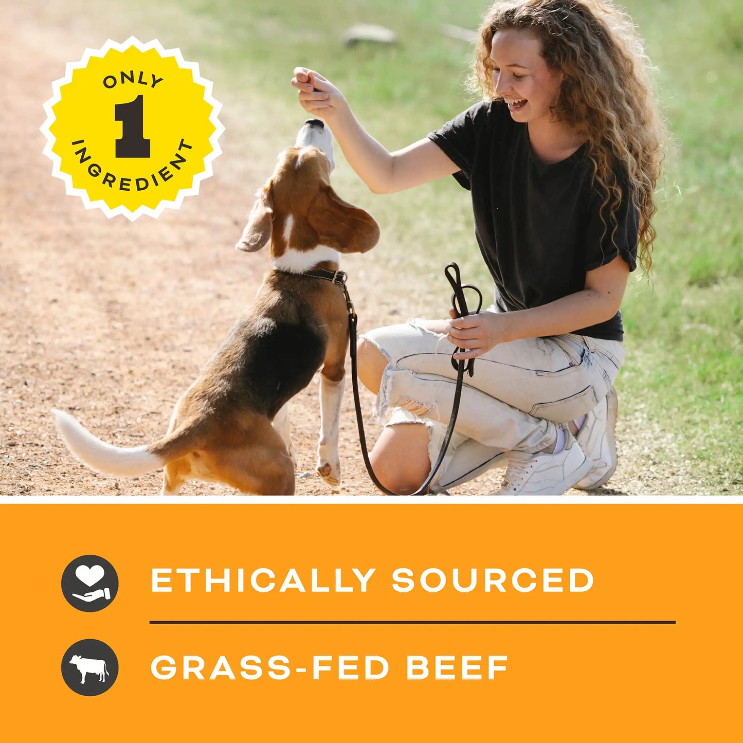 Let’s All Get a Lung Dehydrated Dog Treats - Beef Recipe