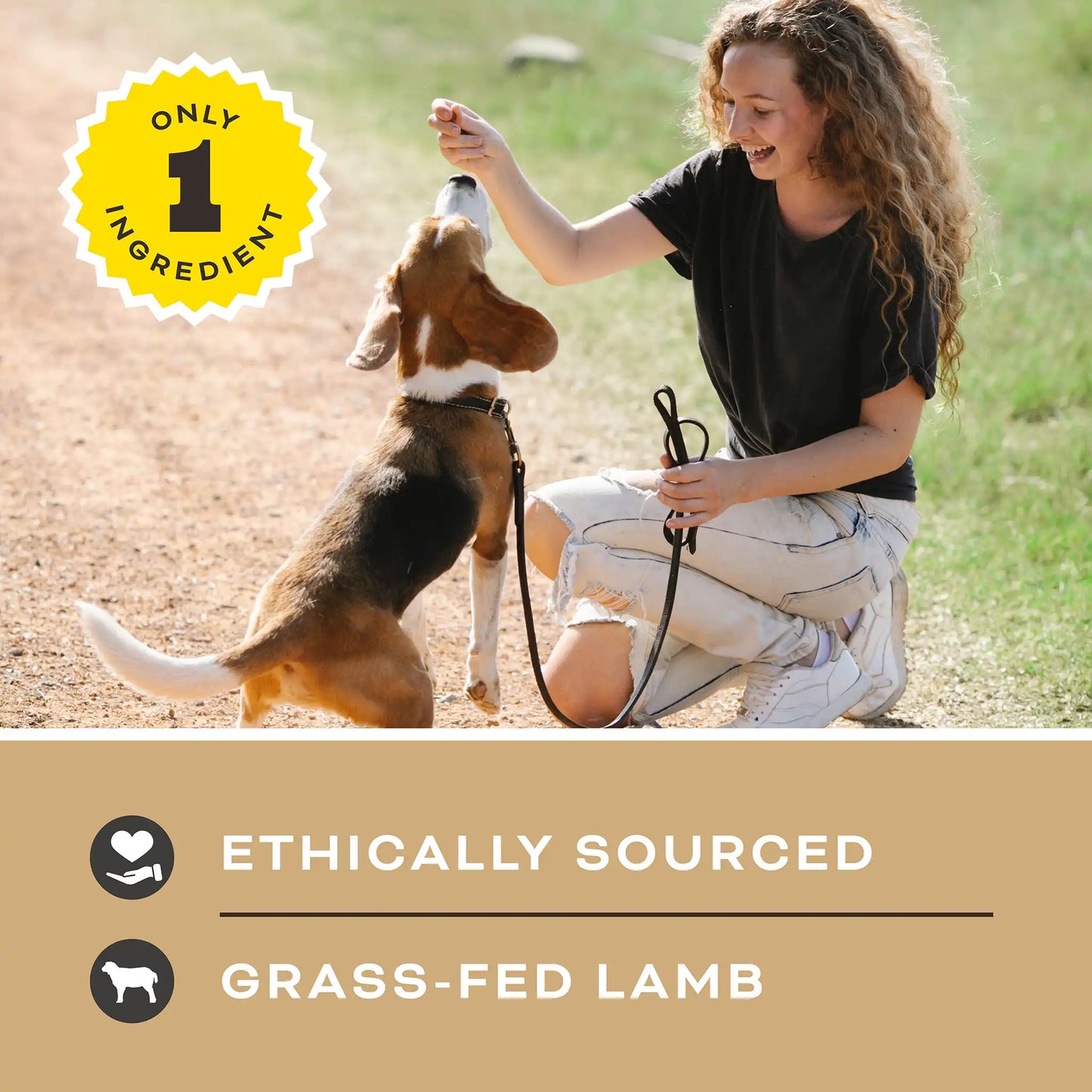 Let’s All Get a Lung Dehydrated Dog Treats - Lamb Recipe