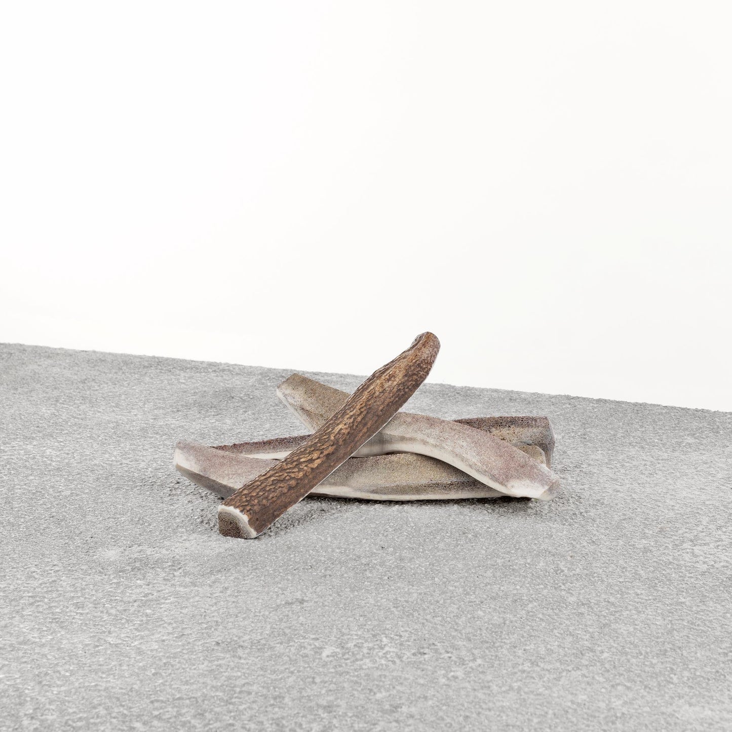 Antlers for Dogs - Stag Antler