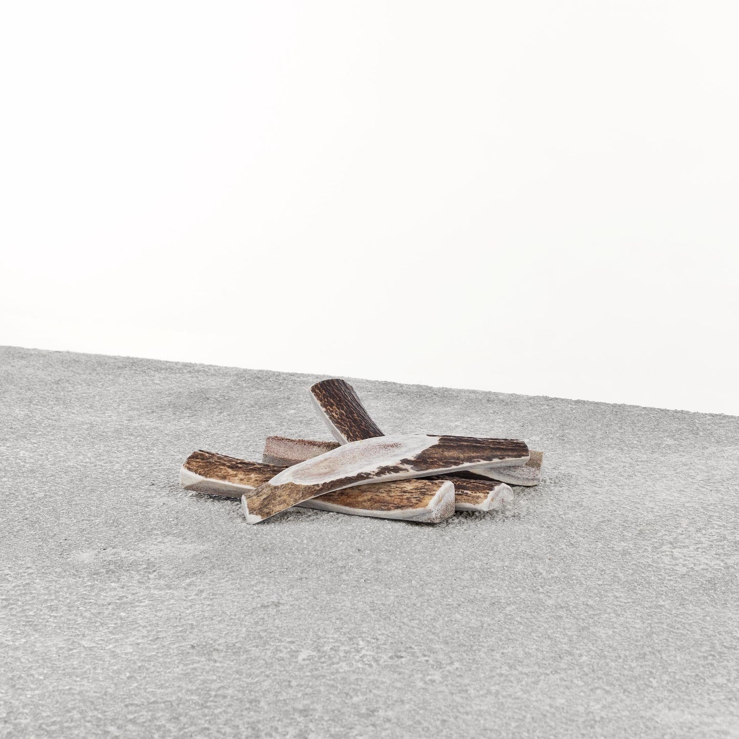 Antlers for Dogs - Stag Antler