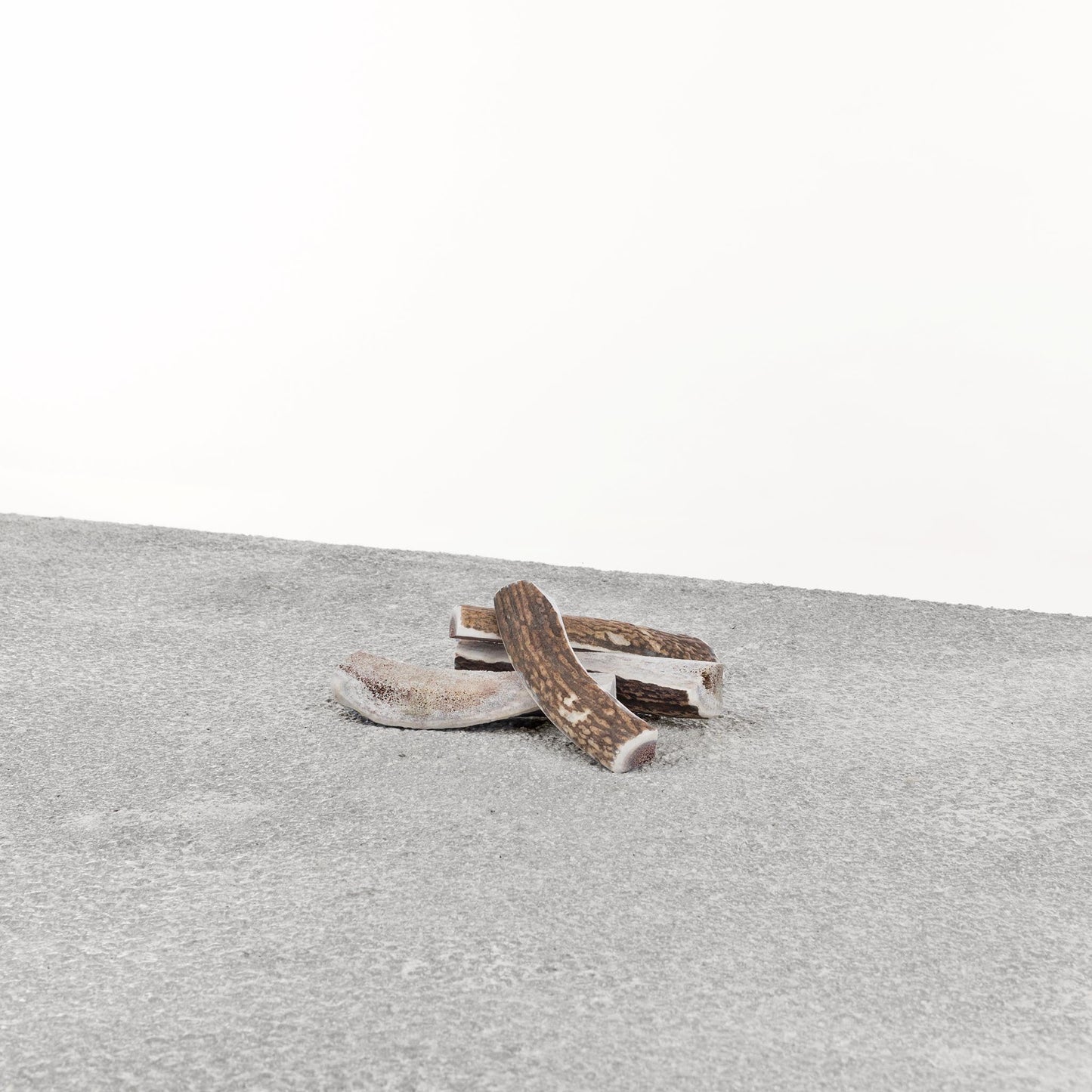 Antlers for Dogs - Stag Antler