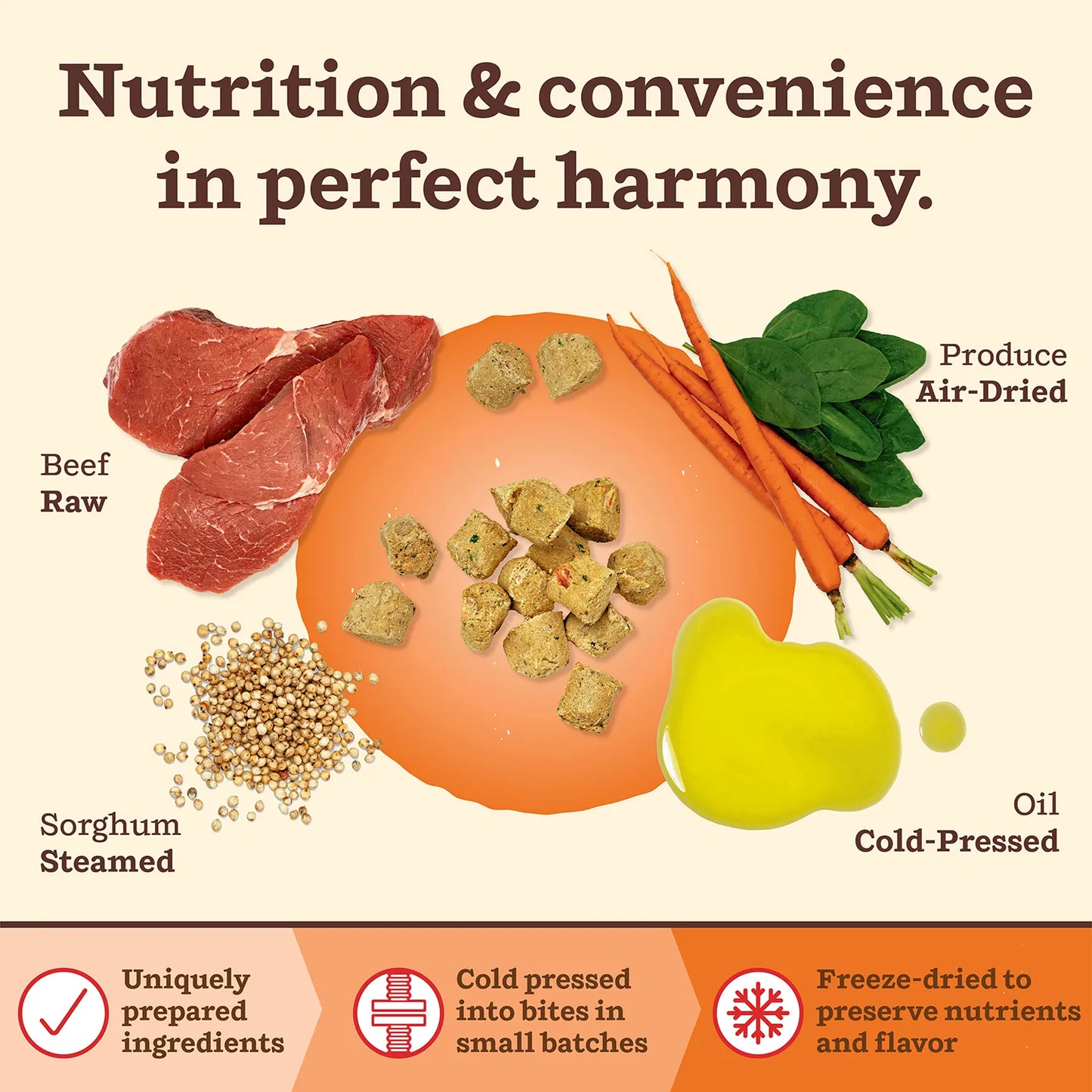 Kibble in the Raw Dog Food - Beef Recipe