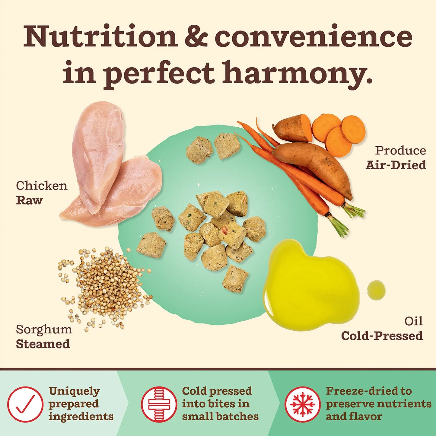 Kibble in the Raw Dog Food - Chicken Recipe