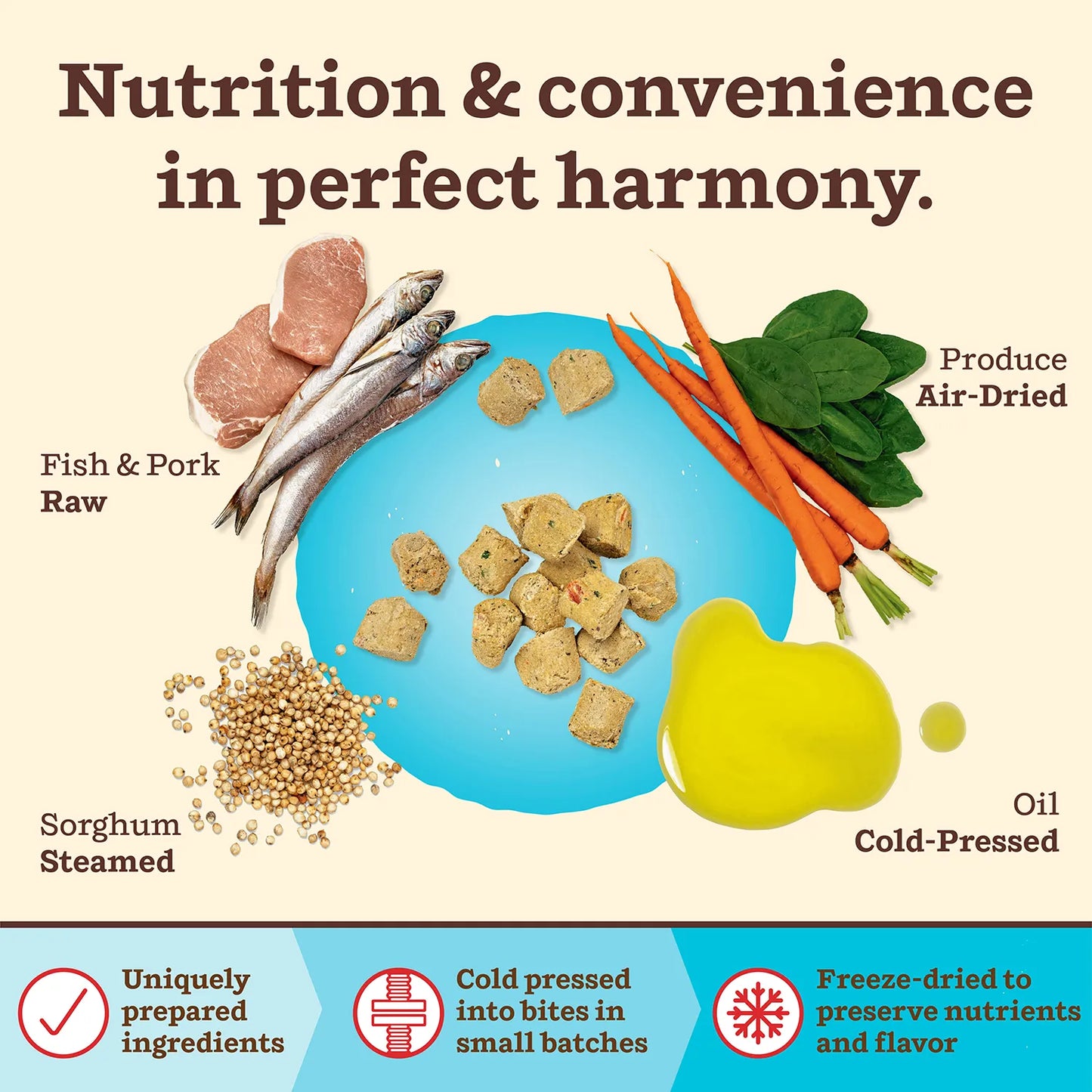 Kibble in the Raw Dog Food - Fish & Pork Recipe