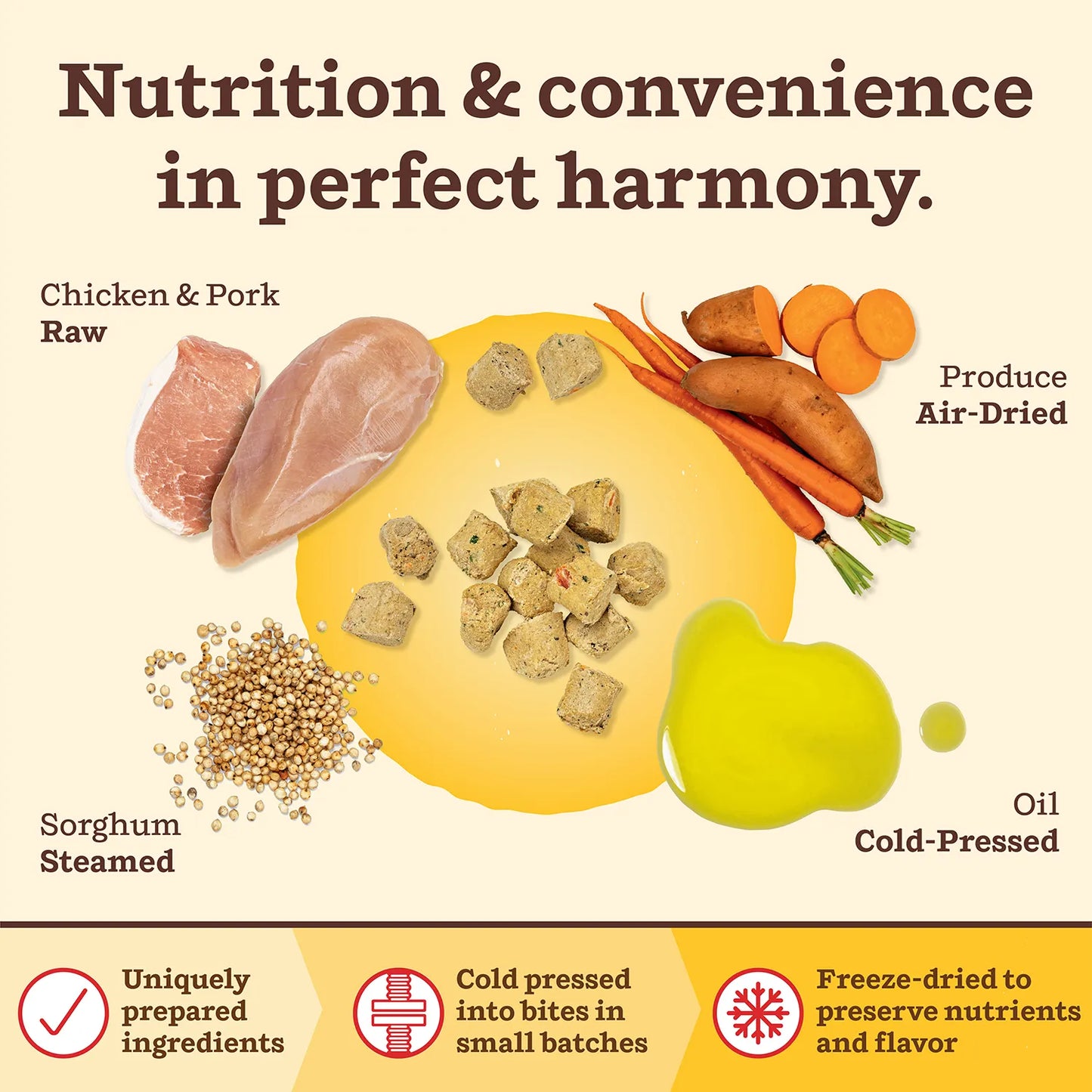Kibble in the Raw Dog Food - Puppy Recipe