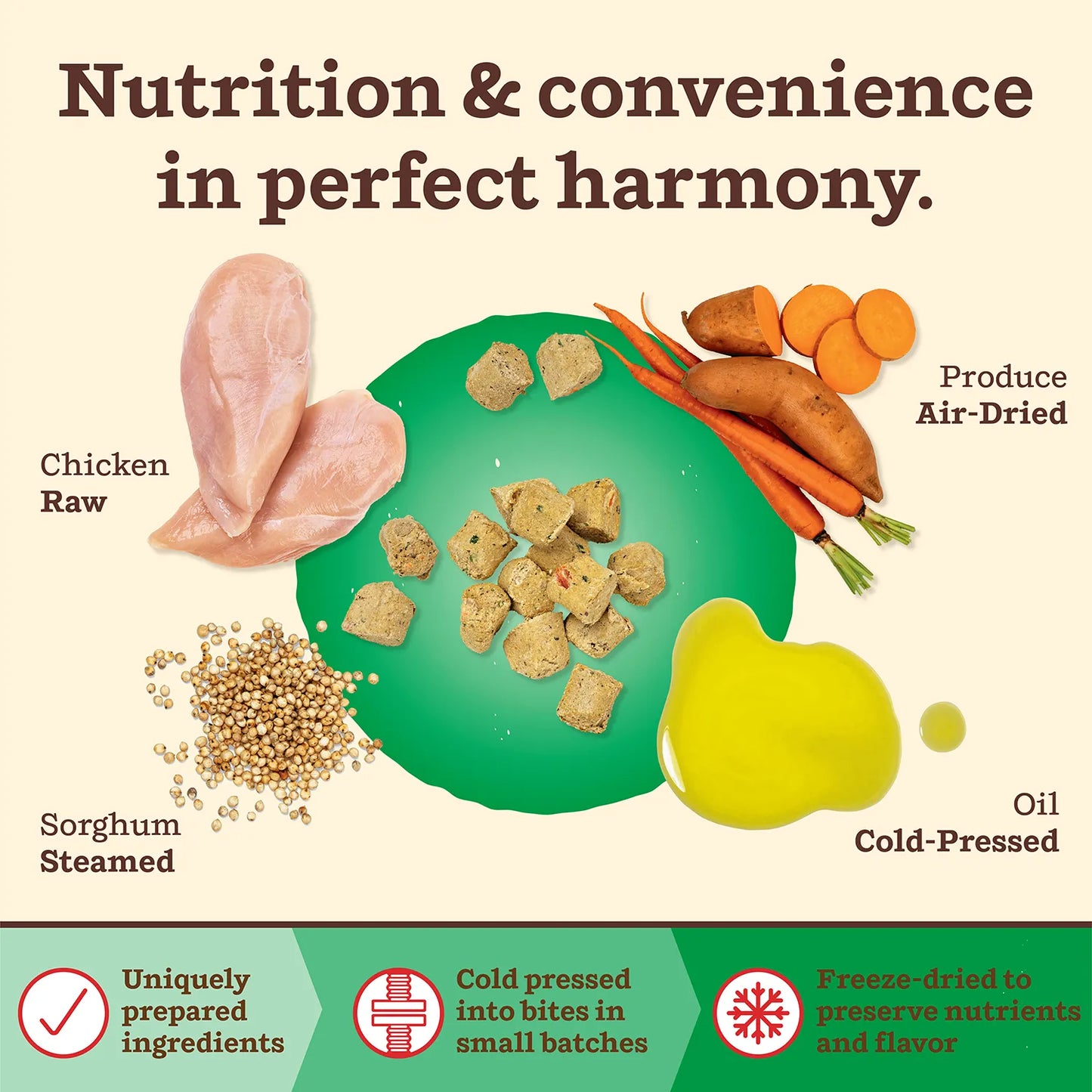Kibble in the Raw Dog Food - Small Breed Chicken Recipe
