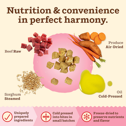 Kibble in the Raw Cat Food - Beef Recipe