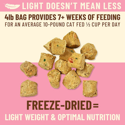 Kibble in the Raw Cat Food - Beef Recipe