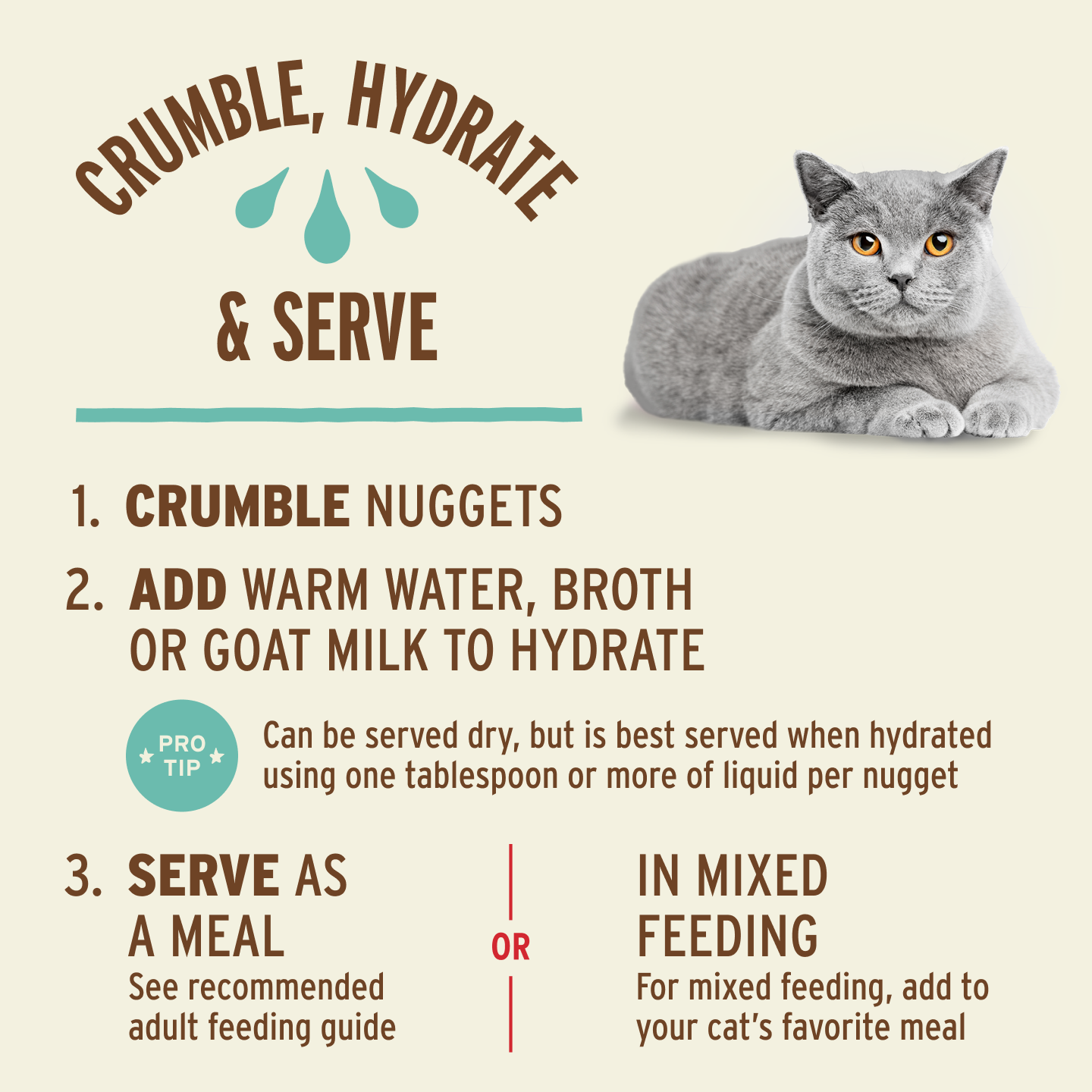 Freeze-Dried Raw Nuggets Cat Food - Chicken & Salmon Recipe