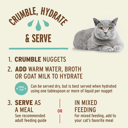 Freeze-Dried Raw Nuggets Cat Food - Chicken & Salmon Recipe