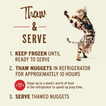 Frozen Raw Nuggets Cat Food - Chicken & Salmon Recipe