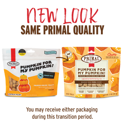 Freeze-Dried Raw Dog Treats - Pumpkin for My Pumpkin
