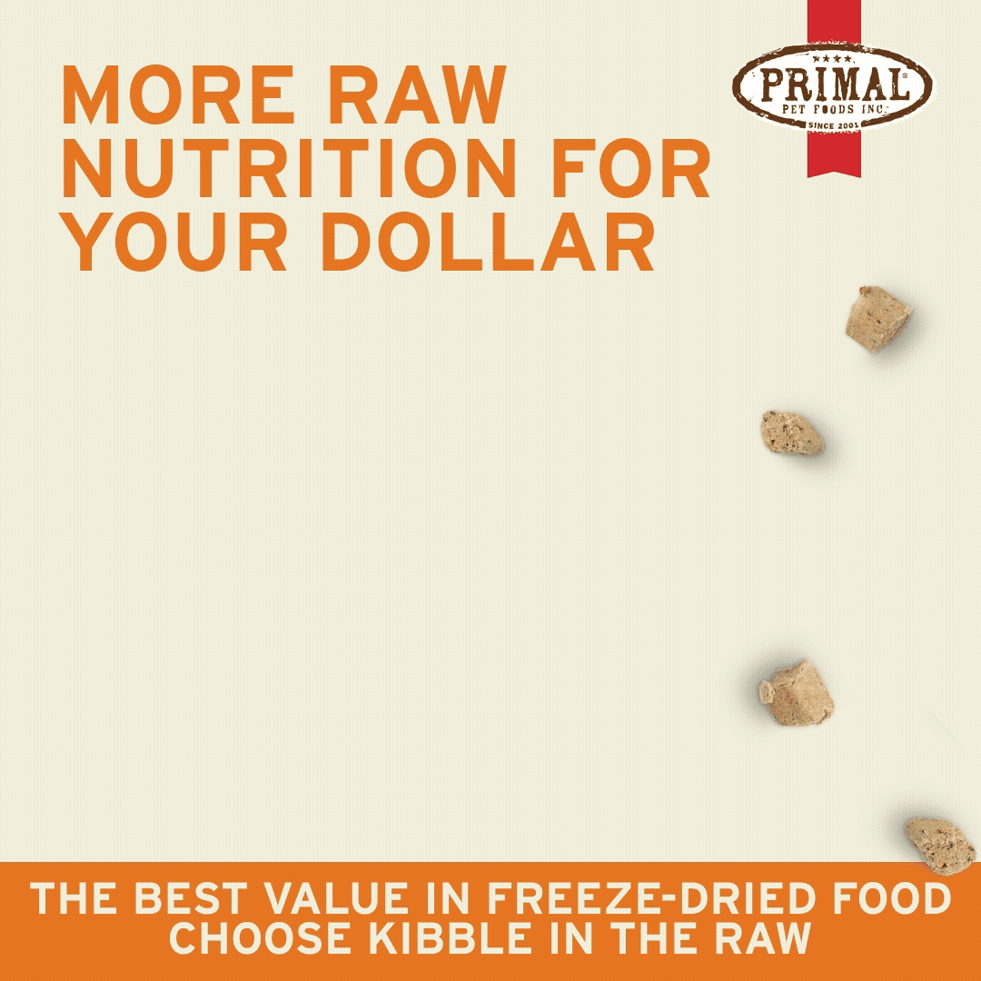 Kibble in the Raw Dog Food – Beef Recipe – Primal Pet Foods