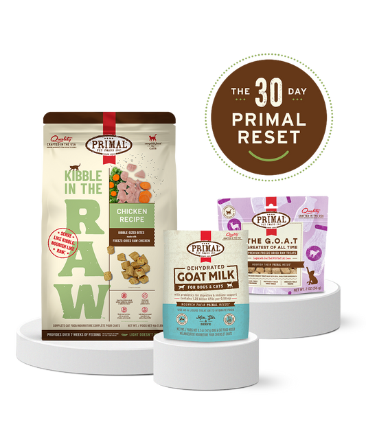 Cat Reset Bundle - Chicken