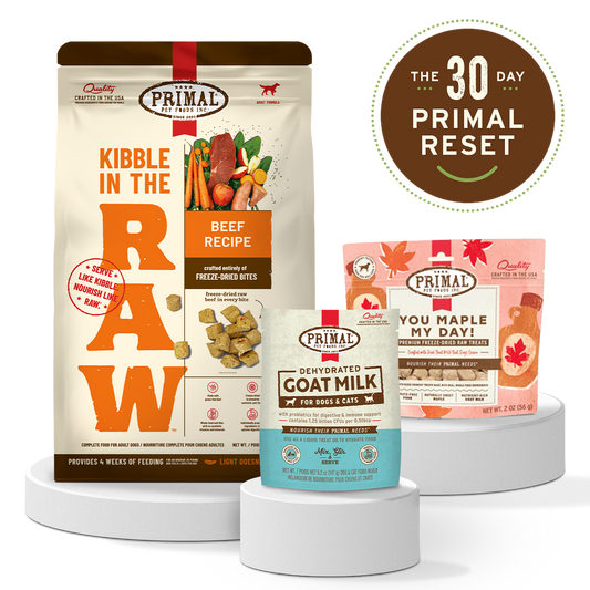 Dog Reset Bundle - Beef