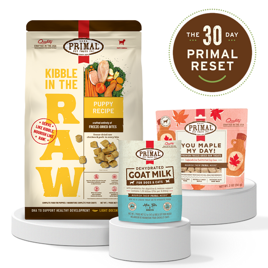 Dog Reset Bundle - Puppy