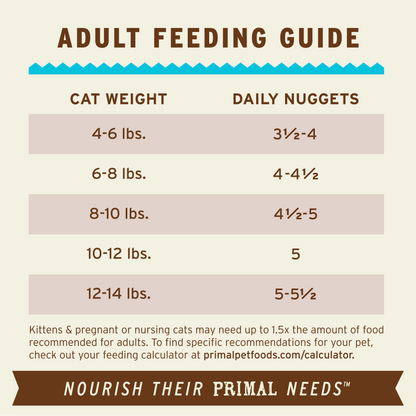 Freeze-Dried Raw Nuggets Cat Food - Chicken & Salmon Recipe