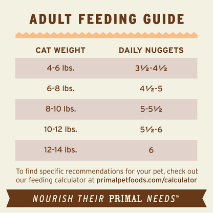 Freeze-Dried Raw Nuggets Cat Food - Pork Recipe