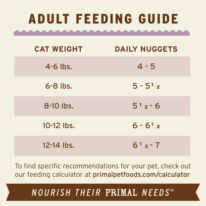 Frozen Raw Nuggets Cat Food - Turkey Recipe