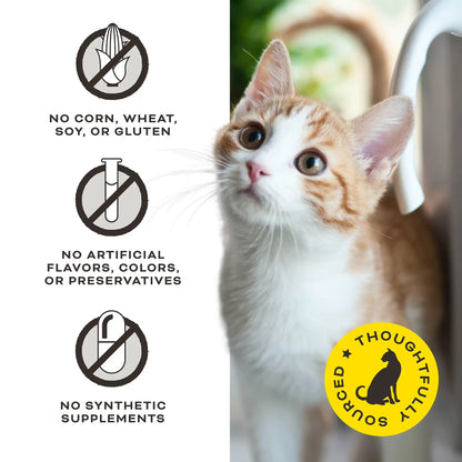 Freeze-Dried Raw Cat Treats - The G.O.A.T.