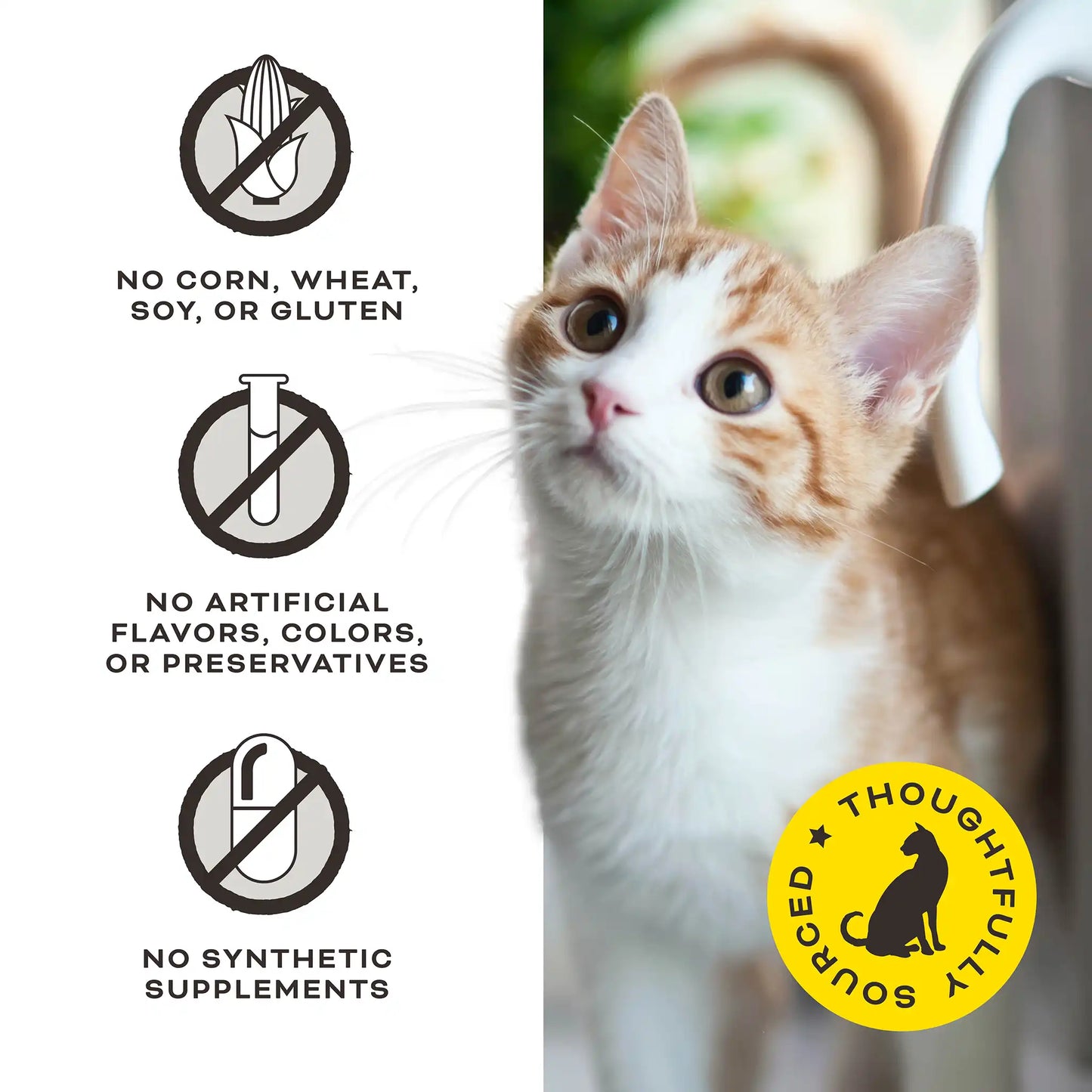 Liver Laugh Love Freeze-Dried Treats for Cats - Pork Liver Recipe