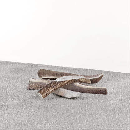 Antlers for Dogs - Stag Antler