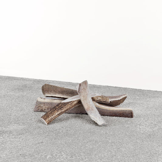 Antlers for Dogs - Stag Antler