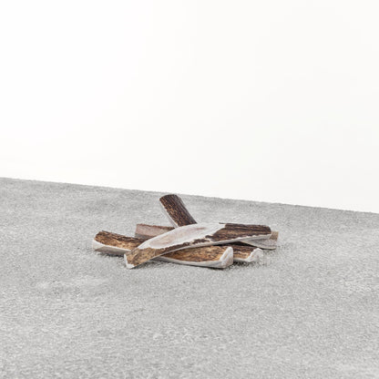 Antlers for Dogs - Stag Antler